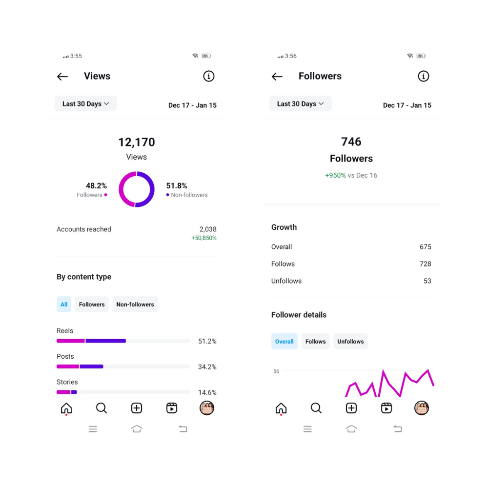 Instagram Growth result